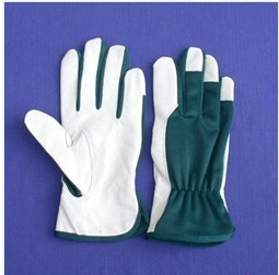 Sport glove SP1010